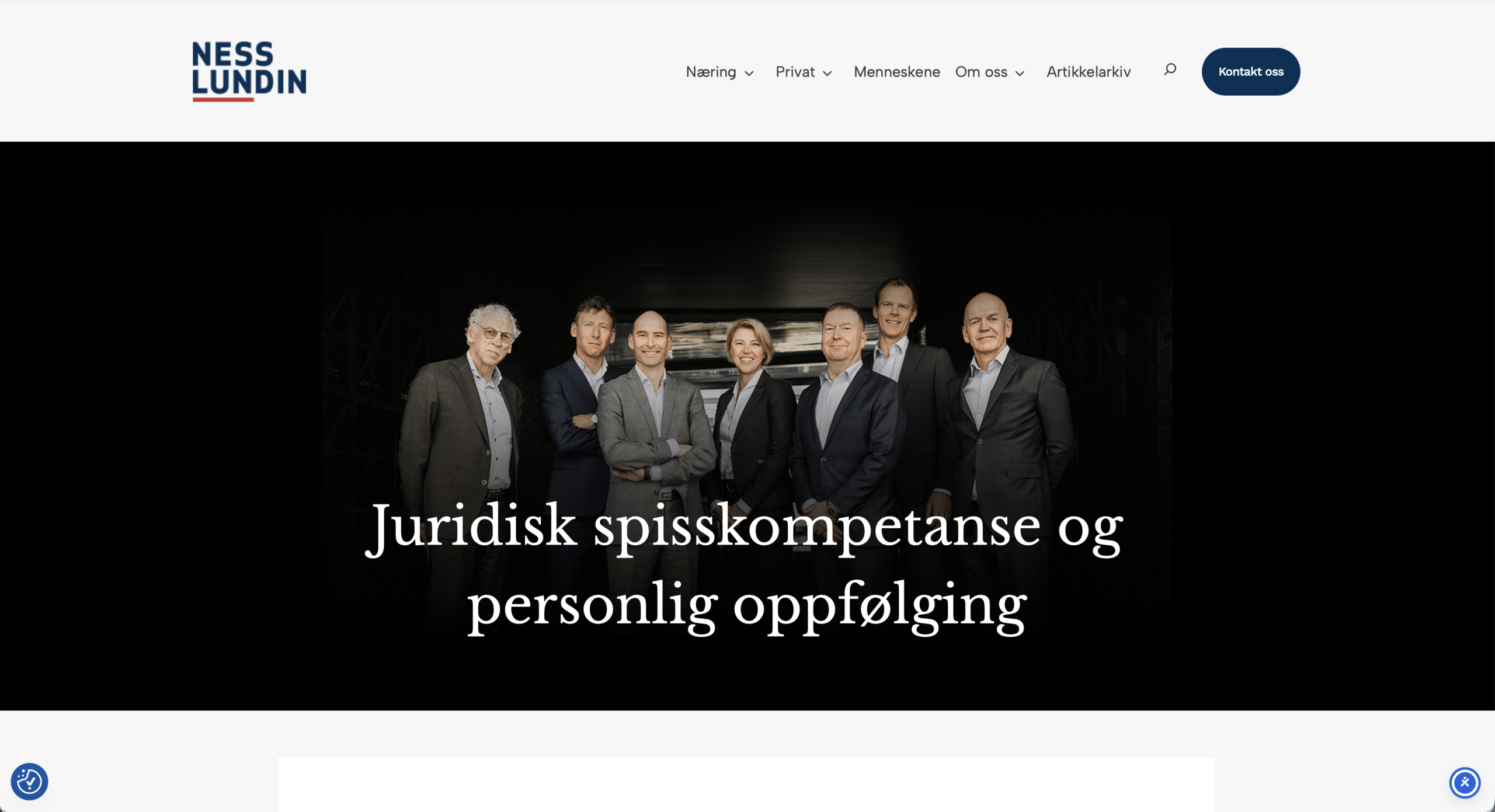 Advokatfirmaet Ness Lundin